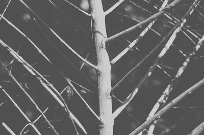 Full frame shot of metal structure