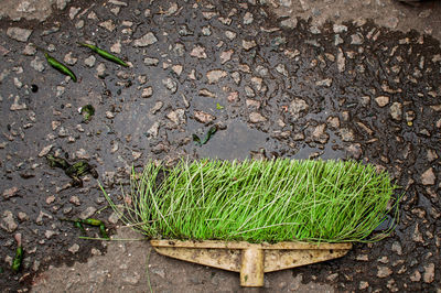 High angle view of abandoned broom