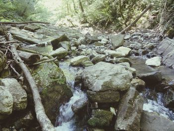 Stream flowing through rocks in forest