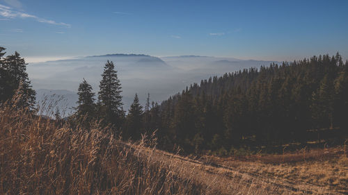 Panoramic view of tree mountains against sky