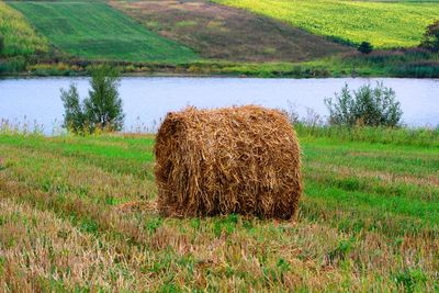 Hay bales on field by lake