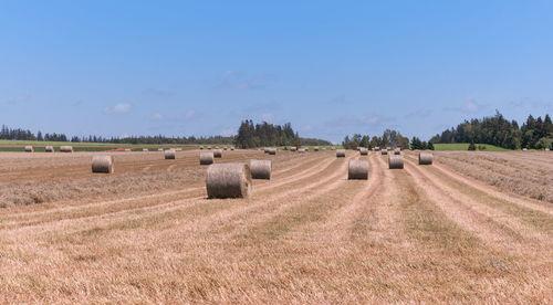 Hay bales on field against sky