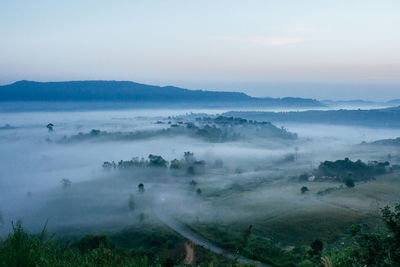 Scenic view of landscape against sky