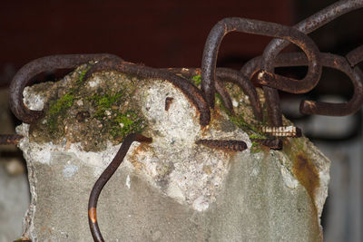 Close-up of rusty metal