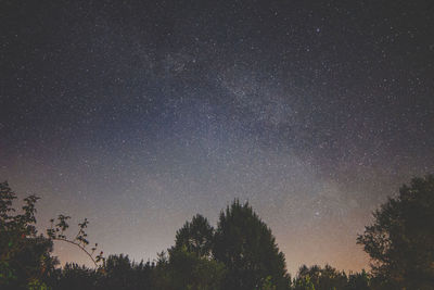 Scenic view of stars over trees