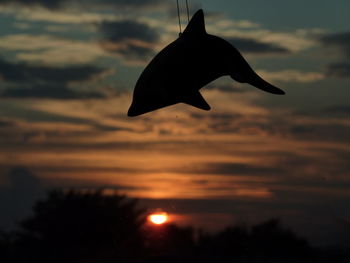 Close-up of silhouette bird against sky during sunset