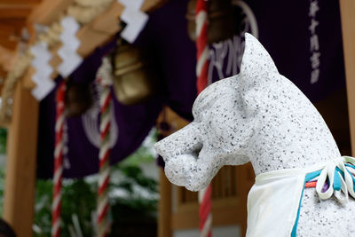 Close-up of woman wearing mask against temple