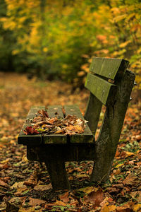 High angle view of wood on field