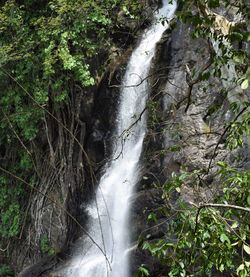 Scenic view of waterfall in forest