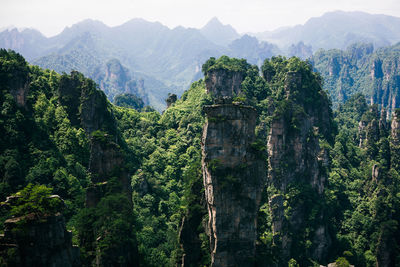 Rock formations at zhangjiajie national forest park