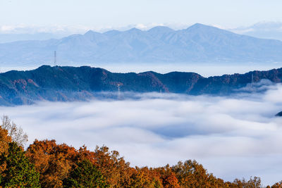 Autumn leaves and sea of clouds