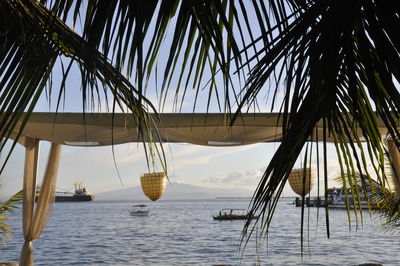 Cropped image of gazebo and palm trees against boats moving on sea