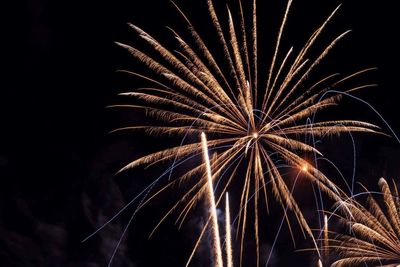 Low angle view of firework display against sky at night