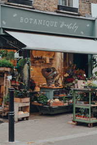 Potted plants at store