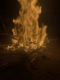 Close-up of fire in the dark