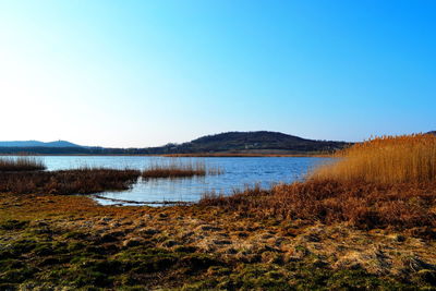 Scenic view of lake against clear blue sky