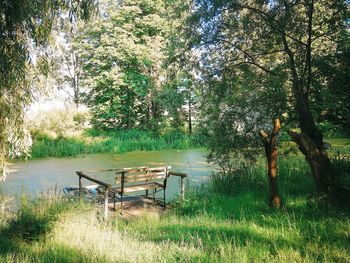 Empty bench on field by trees