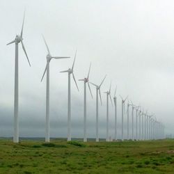 Wind turbines in field