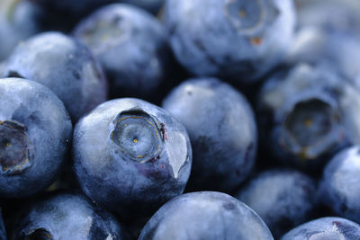 Close up of many fresh blue berry in a bowl