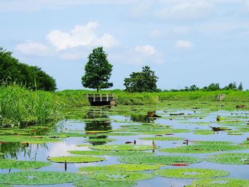 Scenic view of lake against sky