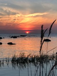 Scenic view of sea against sky during sunset