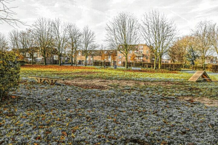 tree, bare tree, autumn, outdoors, no people, sky, built structure, playground, building exterior, day, city, architecture, outdoor play equipment, nature