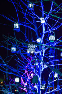 Low angle view of illuminated lighting equipment