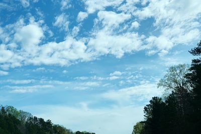 Low angle view of trees against sky