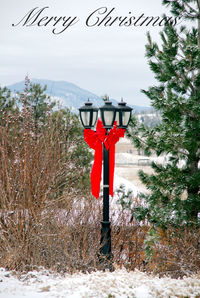 Red umbrella on field during winter