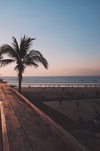 Palm trees on beach against clear sky at sunset