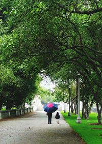 Rear view of woman walking on walkway