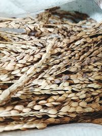 Close-up of dry leaves