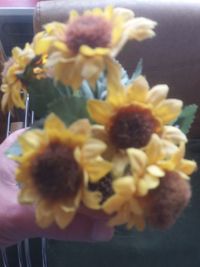 Close-up of yellow flowers