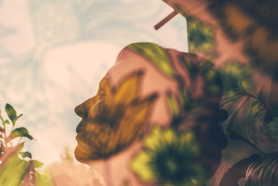 Close-up of flowers against blurred background