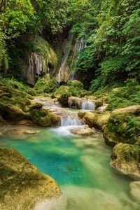 Stream flowing through rocks in forest