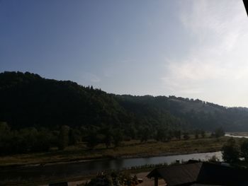 Scenic view of lake in forest against sky