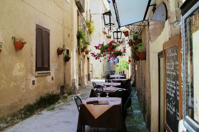 Narrow alley amidst buildings in city