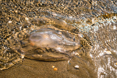 Full frame shot of water in sea