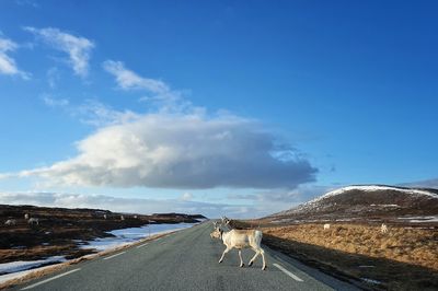 View of road against cloudy sky