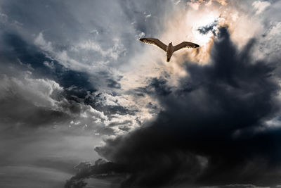 Low angle view of cloudy sky