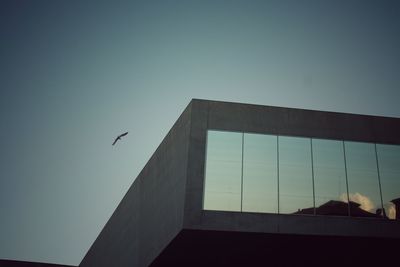 Low angle view of bird flying in sky