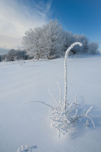 Beautiful winter landscapes in the valleys