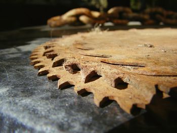 Close-up of rusty metal on wood