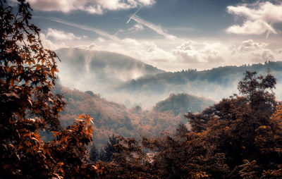 Scenic view of forest against sky