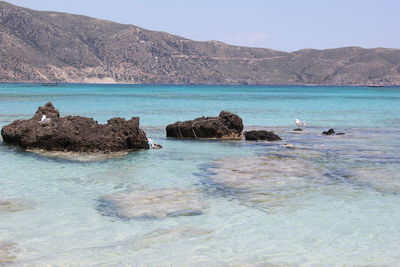 Scenic view of sea against clear sky