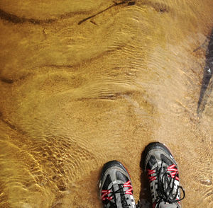 Low section of man standing on water