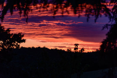 Silhouette trees against sky during sunset