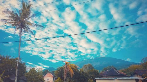 Low angle view of trees and buildings against sky