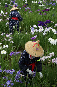 Woman with flowers on field