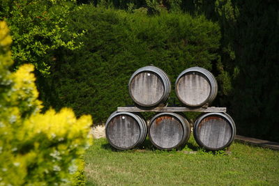 Chianti region, tuscany